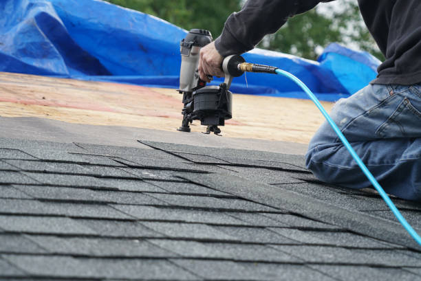 Best Roof Gutter Cleaning  in Silver Springs, FL
